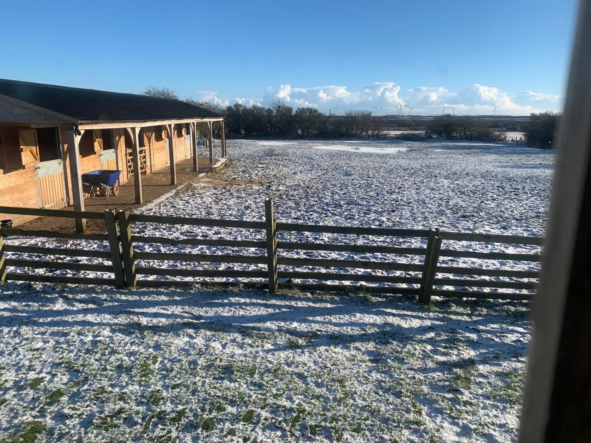 Owls Nest Log Cabin Morpeth Buitenkant foto
